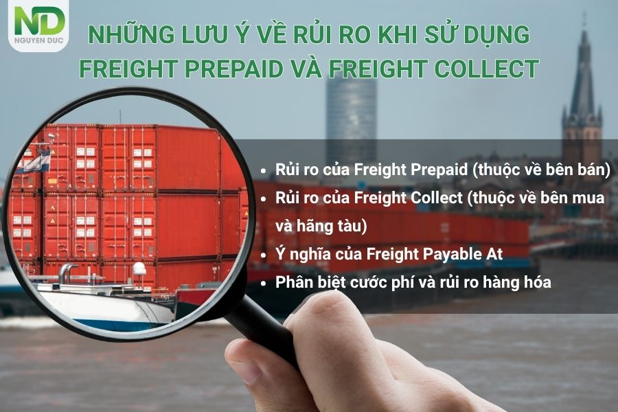 Những lưu ý về rủi ro khi sử dụng Freight prepaid và Freight collect